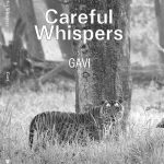 Careful Whispers