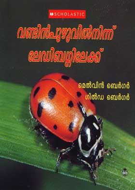 VANDINPUZHUVILNINNU LADYBUGGILEKKU