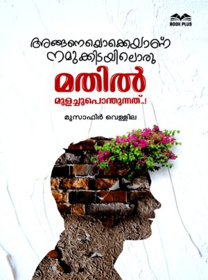 Anganeyokkeyanu Namukkidayiloru Mathil Mulachuponthunnath